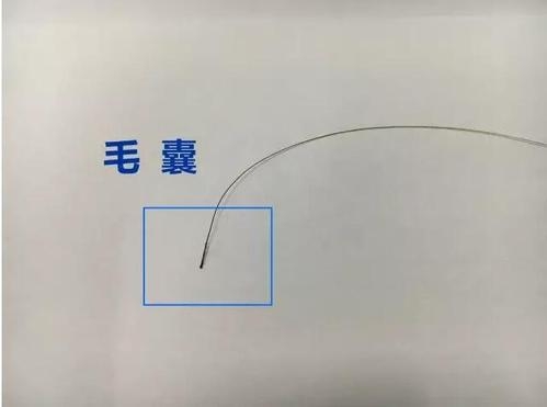 想做個人親子鑒定，頭發(fā)可以鑒定嗎？